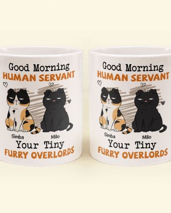 Good Morning Human Servant - Personalized Mug